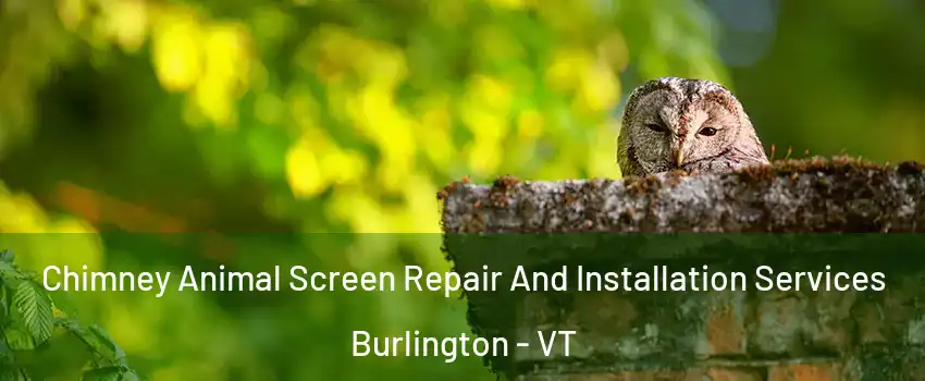  Chimney Animal Screen Repair And Installation Services Burlington - VT
