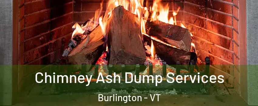  Chimney Ash Dump Services Burlington - VT