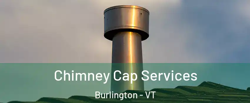  Chimney Cap Services Burlington - VT
