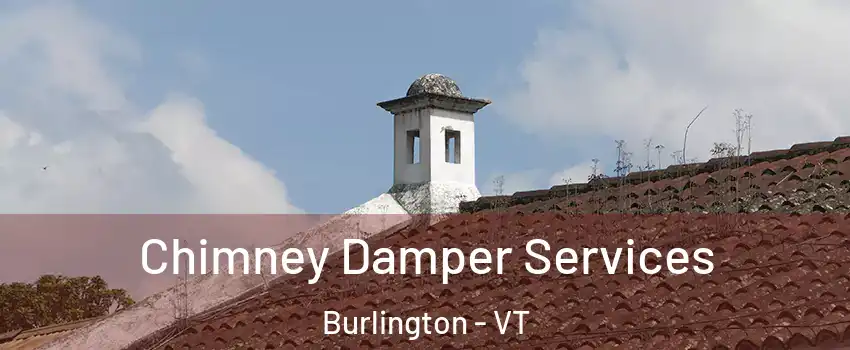  Chimney Damper Services Burlington - VT