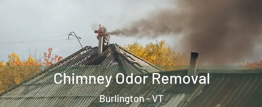  Chimney Odor Removal Burlington - VT