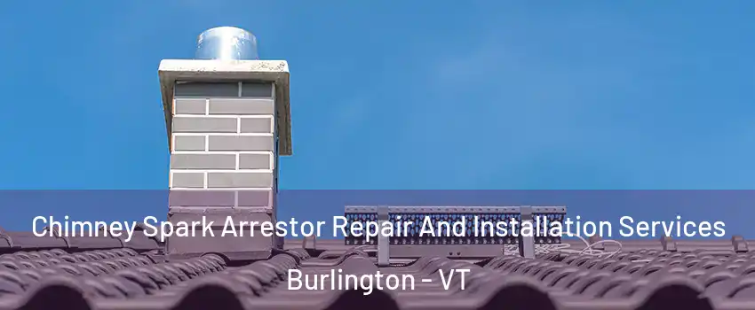  Chimney Spark Arrestor Repair And Installation Services Burlington - VT