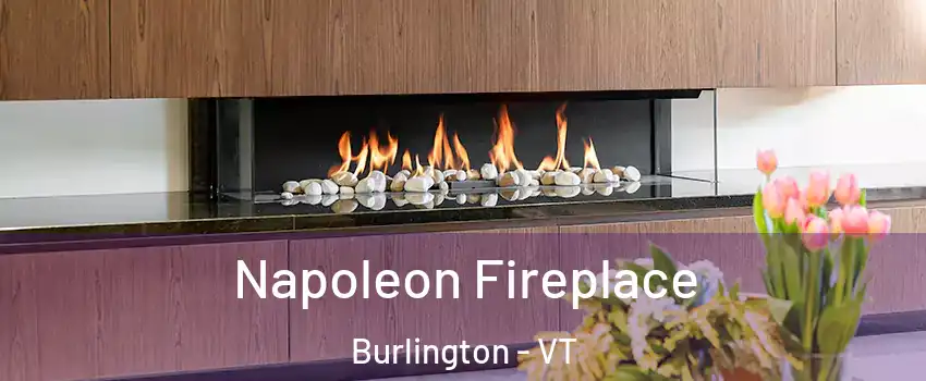  Napoleon Fireplace Burlington - VT